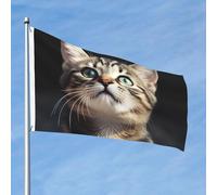 Bandiera a forma di gatto, 2 x 3 m, double face, non sbiadisce, benvenuto, giardino, bandiera, con ottone, decorazione per esterni, per cortile, portico, prato, decorazione