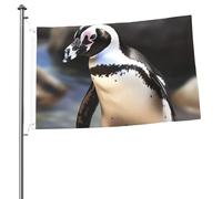 Bandiera a forma di pinguino africano, 0,6 x 0,9 m, stampa su entrambi i lati, bandiere da giardino, bandiera da cortile per esterni, bandiere per vacanze, striscione regalo con occhielli per sfondo