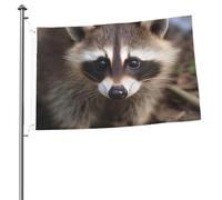 Bandiera a forma di procione con cucciolo di procione, stampa su entrambi i lati, bandiere da giardino, per esterni, per vacanze, banner regalo con occhielli sfondo fotografico per interni ed esterni