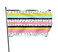 Bandiera a righe 3 x 5 FT pennello dipinto geometrico arcobaleno strisce nere bianche pois bandiere all'aperto grandi benvenuto cortile banner casa giardino cortile decorazione prato