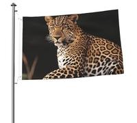 Bandiera africana leopardata su roccia, 0,6 x 0,9 m, stampa su entrambi i lati, bandiere da giardino per esterni, bandiere per vacanze, banner regalo con occhielli, sfondo fotografico, per interni ed
