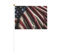 Bandiera americana mini bandiere, resistenti, 14 x 20 cm, piccole bandiere su bastoncini, per esterni, cortile e giardino, confezione da 6 e 10 pezzi