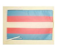 BANDIERA ARCOBALENO ORGOGLIO TRANSESSUALE 45x30cm - BANDIERINA TRANGENDER - RAINBOW FLAG 30 x 45 cm cordicelle - AZ FLAG