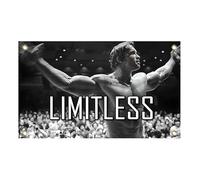 Bandiera Arnold Schwarzenegger da 90 x 150 cm, decorazione da parete motivazionale per ufficio e palestra, con 4 occhielli in ottone, striscione illimitato per la decorazione della stanza del