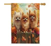 Bandiera autunnale della Pomerania per cani, 71 x 101 cm, per esterni, recinti autunnali, zucca, acero, bandiera verticale standard per la casa, decorazione per esterni per cuccioli di animali