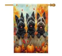 Bandiera autunnale per cani Scottish Terrier 71 x 101 cm per esterni, recinzione autunnale zucca acero bandiera verticale standard per la casa, cucciolo di animale domestico cortile cortile modello