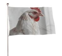 Bandiera bianca a forma di pollo, 152,4 x 243,8 cm, stampa su entrambi i lati, bandiera decorativa da giardino, non sbiadisce, con occhielli in ottone, sfondo fotografico da appendere per interni ed