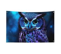 Bandiera blu con gufo, 0,9 x 1,5 m, non sbiadisce, bandiera di benvenuto, giardino, cortile, casa, bandiera, decorazione per la casa
