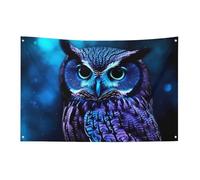 Bandiera blu con gufo, 0,9 x 1,5 m, non sbiadisce, bandiera di benvenuto, giardino, cortile, casa, bandiera, decorazione per la casa