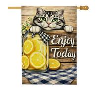 Bandiera Cat Rustic Fanciful Le-Mon Jar Bandiere Resistente Doppia Cucitura Bandierine Della Decorazione Per Bar Esterno Conferenza 70X102Cm