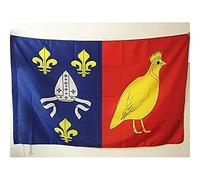 BANDIERA CHARENTE MARITTIMA 90x60cm - BANDIERA DIPARTIMENTO DELLE CHARENTE MARITIME - FRANCIA 60 x 90 cm foro per asta - AZ FLAG