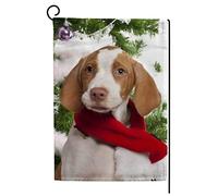 Bandiera Christmas Braque Saint Puppy Resistente alle Intemperie Bandiere Stampa Bandierine della Decorazione per Ristoranti Celebrazione 30x45cm