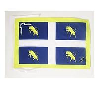 BANDIERA CITTÀ DI TORINO CON STEMMA 45x30cm - BANDIERINA TORINESE - TURIN 30 x 45 cm cordicelle - AZ FLAG