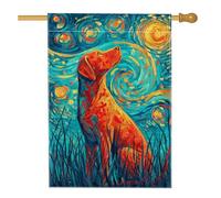 Bandiera colorata da giardino per cani, con labrador retriever rosso vivace, decorazione per la casa e per esterni, bandiera artistica su entrambi i lati, per amanti degli animali, idea regalo, 71 x