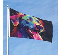 Bandiera colorata per cani 2x3 Ft Double Sided No Fade Welcome Garden Flag Yard Flag Con Ottone Outdoor Banner Decor Per Cortile Portico Prato Decor