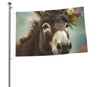 Bandiera con animali asini, 6 x 90 cm, per interni ed esterni, con occhielli a doppia faccia, bandiera da giardino, grande striscione per cortile, casa, decorazione da parete, poster da appendere