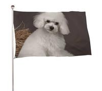 Bandiera con barboncino francese, 152,4 x 243,8 cm, stampa su entrambi i lati, bandiera decorativa da giardino, non sbiadisce, con occhielli in ottone da appendere, sfondo fotografico per interni ed
