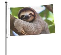 Bandiera con bradipo su un ramo di albero, stampa su entrambi i lati, bandiera da giardino per esterni, bandiere per vacanze, banner regalo con occhielli sfondo fotografico per interni ed esterni