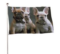 Bandiera con bulldog francese, 61 x 88,9 cm, stampa su entrambi i lati, bandiera decorativa da giardino, non sbiadisce, con occhielli in ottone da appendere, sfondo fotografico per interni ed esterni
