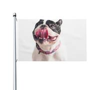 Bandiera con bulldog francese, cane felice e curioso, 152 x 91 cm con occhielli, bandiera personalizzata in poliestere