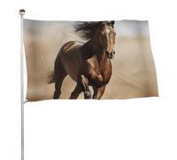 Bandiera con cavallo che corre, 152,4 x 243,8 cm, stampa su entrambi i lati, bandiera decorativa da giardino, non sbiadisce, con occhielli in ottone, sfondo fotografico da appendere, per interni ed