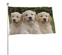 Bandiera con cuccioli di Golden Retriever, 89 x 150 cm, stampa su entrambi i lati, bandiera decorativa da giardino, non sbiadisce, con occhielli in ottone, sfondo fotografico da appendere, per interni