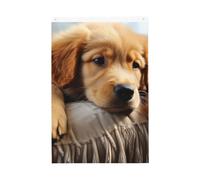 Bandiera con cucciolo di cane pigro, 0,9 x 1,5 m, doppia faccia vibrante bandiere da giardino banner di benvenuto stagionale con occhielli in ottone decorazione sfondo foto per cortile portico prato