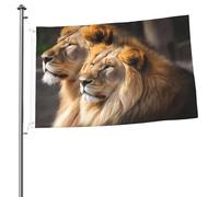 Bandiera con due leoni da 0,8 x 0,9 m, stampa su entrambi i lati, bandiere da giardino, bandiera da cortile per esterni, bandiere per vacanze, striscione regalo con occhielli, sfondo fotografico, per