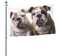 Bandiera con due simpatici cani bulldog, 2x3 piedi, per interni, con occhielli, bandiera da giardino bifacciale, grande, cartello, bandiere da giardino, per esterni, decorazione da parete, poster da a