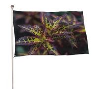 Bandiera con foglie scure, 61 x 88,9 cm, stampa su entrambi i lati, bandiera decorativa da giardino, non sbiadisce, con occhielli in ottone da appendere, sfondo fotografico per interni ed esterni