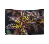 Bandiera con foglie scure 88,9 x 150 cm, nessuna dissolvenza, bandiera di benvenuto, giardino, cortile, casa, bandiera, decorativa, per interni ed esterni, per feste e decorazioni per la casa