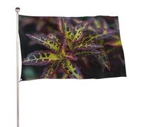 Bandiera con foglie scure, 89 x 150 cm, stampa su entrambi i lati, bandiera decorativa da giardino, non sbiadisce, con occhielli in ottone da appendere, sfondo fotografico per interni ed esterni