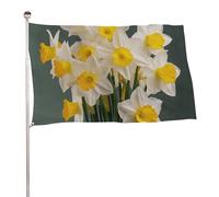 Bandiera con foto di narcisi, 89 x 150 cm, stampa su entrambi i lati, bandiera decorativa da giardino, non sbiadisce, con occhielli in ottone, sfondo fotografico da appendere, per interni ed esterni