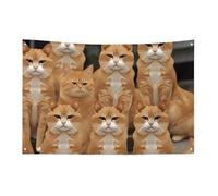 Bandiera con gatti arancioni, 89 x 150 cm, non sbiadisce, bandiera di benvenuto, da giardino, cortile, casa, cartello decorativo per interni ed esterni, striscione per feste e decorazioni per la casa