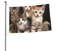 Bandiera con gattini e gatti, 6 x 90 cm, stampa su entrambi i lati, bandiere da giardino per esterni, bandiere per vacanze, banner regalo con occhielli sfondo fotografico per interni ed esterni