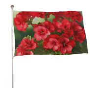 Bandiera con gerani rossi 119,4 x 177,8 cm, stampa su entrambi i lati, bandiera decorativa da giardino, non sbiadisce, con occhielli in ottone da appendere, sfondo fotografico per interni ed esterni