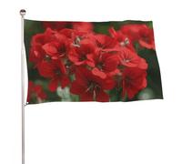 Bandiera con gerani rossi 119,4 x 177,8 cm, stampa su entrambi i lati, bandiera decorativa da giardino, non sbiadisce, con occhielli in ottone da appendere, sfondo fotografico per interni ed esterni