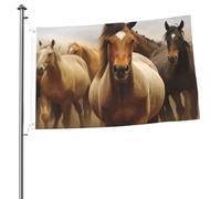 Bandiera con molti cavalli, 0,6 x 0,9 m, stampa su entrambi i lati, bandiere da giardino, bandiera da cortile per esterni, bandiere per vacanze, banner regalo con occhielli sfondo fotografico per