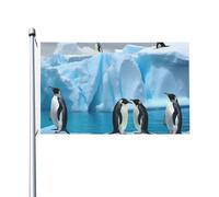 Bandiera con pinguini sull'iceberg 3 x 5 Ft Bandiera per esterni Bandiera da giardino per vacanze Bandiera da giardino di benvenuto Banner per casa giardino cortile prato bandiere decorative, bandiera