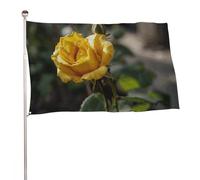 Bandiera con rosa gialla che cresce 89 x 150 cm bandiere da giardino a doppia faccia per esterni bandiere di benvenuto per cortile portico prato