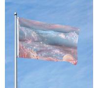 Bandiera con scena da spiaggia, 0,9 x 1,5 m, a doppia faccia, con conchiglie rosa, bandiera da giardino per casa, cortile, esterni, interni, vacanze, feste decorative