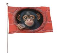 Bandiera con scimpanzé che guarda attraverso un foro circolare, 9 x 1,5 m, bandiere da giardino per esterni, decorazione per cortile, portico, prato, fattoria