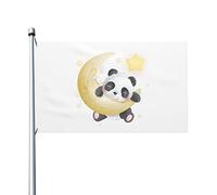 Bandiera con simpatico panda e coniglio sulla luna, 3x5 piedi, bifacciale, resistente, per esterni, ideale per feste in casa, decorazioni per patio.
