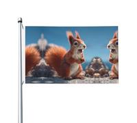Bandiera con stampa di scoiattolo divertente, 3x5 piedi, perfetta per prati, balconi, corridoi, feste e altro ancora.