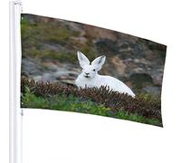 Bandiera Coniglio 3x5 FT Simpatico Animale Coniglietto Bianco Lepre in Montagna Roccia Erba Bandiere per Esterni Grande Benvenuto Cortile Striscioni Casa Giardino Cortile Prato Decor