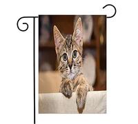 Bandiera Cut White Small Baby Tabby Kitten Isolated Playing Animal Furry Kitty Day Animals Funny Wildlife Rinforzata Stagione Bandiera, Per Celebrazioni, Balcone, 30x45cm
