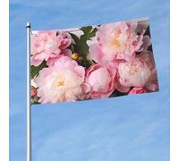 Bandiera da 0,5 x 1,5 m con belle peonie divertenti bandiere da giardino per tutte le stagioni bandiera per tutte le stagioni bandiera per dormitorio decorazione per feste all'aperto