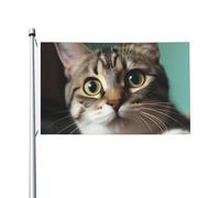 Bandiera da 0,9 x 1,5 m, decorazione per esterni, bandiera a gatto curioso, 200D, pesante bandiere di benvenuto da cortile in poliestere bandiere da cortile grandi bandiere per interni ed esterni