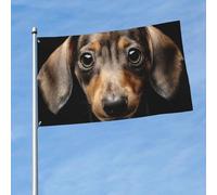 Bandiera da 150 cm x 90 cm, bandiera da esterno su entrambi i lati, resistente, con 2 occhielli, decorazione per cortile, bassotto, bandiere di benvenuto in poliestere per vacanze cortile tutte le