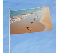Bandiera da 150 cm x 90 cm, bandiera da esterno su entrambi i lati, resistente, con 2 occhielli, decorazione per cortile, impronte della spiaggia, bandiere di benvenuto in poliestere per vacanze